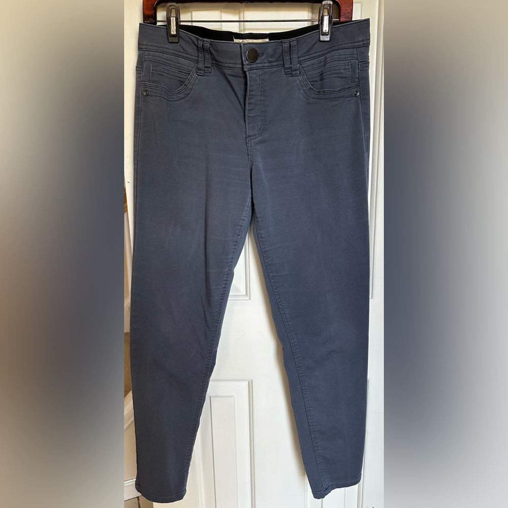 Democracy Gray Skinny Pants - Size 10